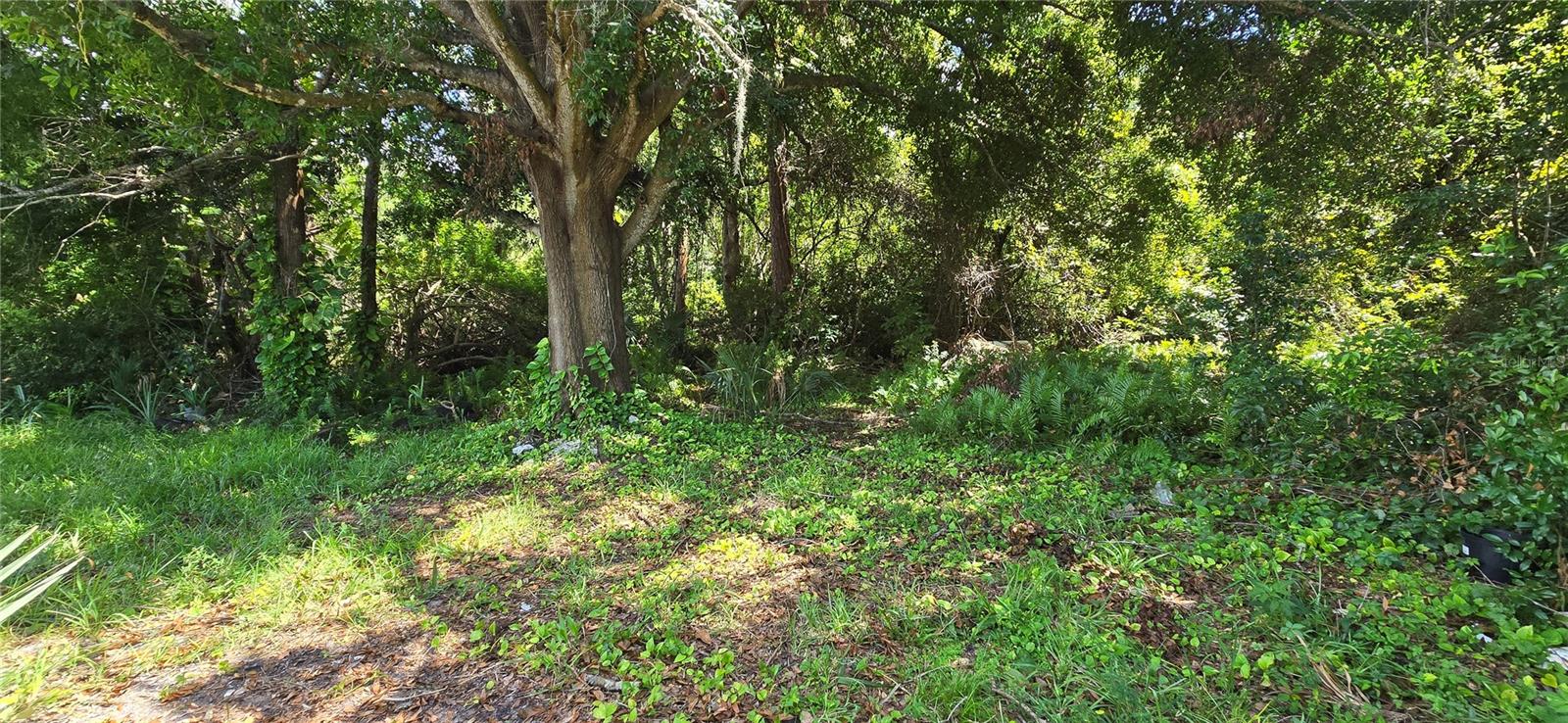 Listing photo id 15 for 3804 Beacon Square Drive