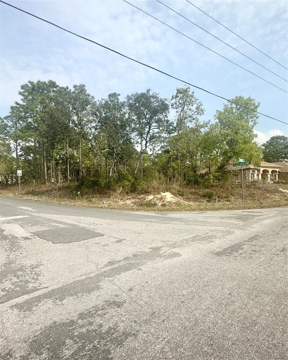 Image 3 of 3 For 41 Linder Street