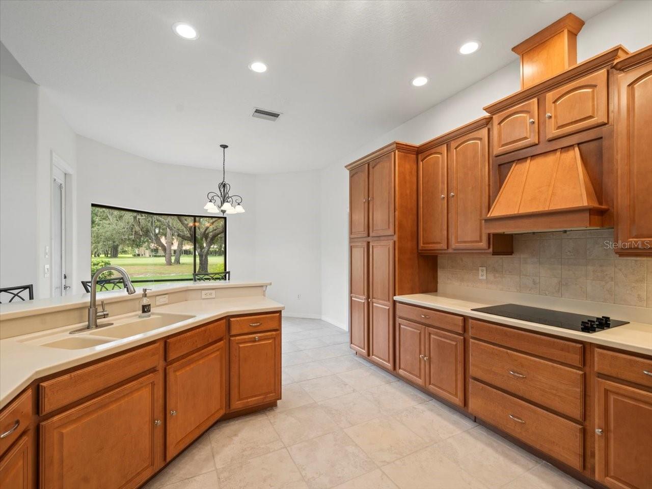 Listing photo id 32 for 9694 Southern Belle Drive