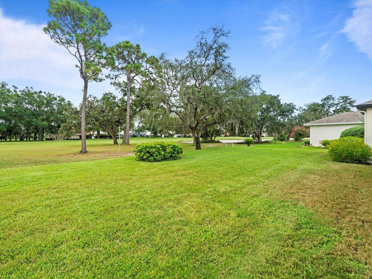 Listing photo id 44 for 9694 Southern Belle Drive