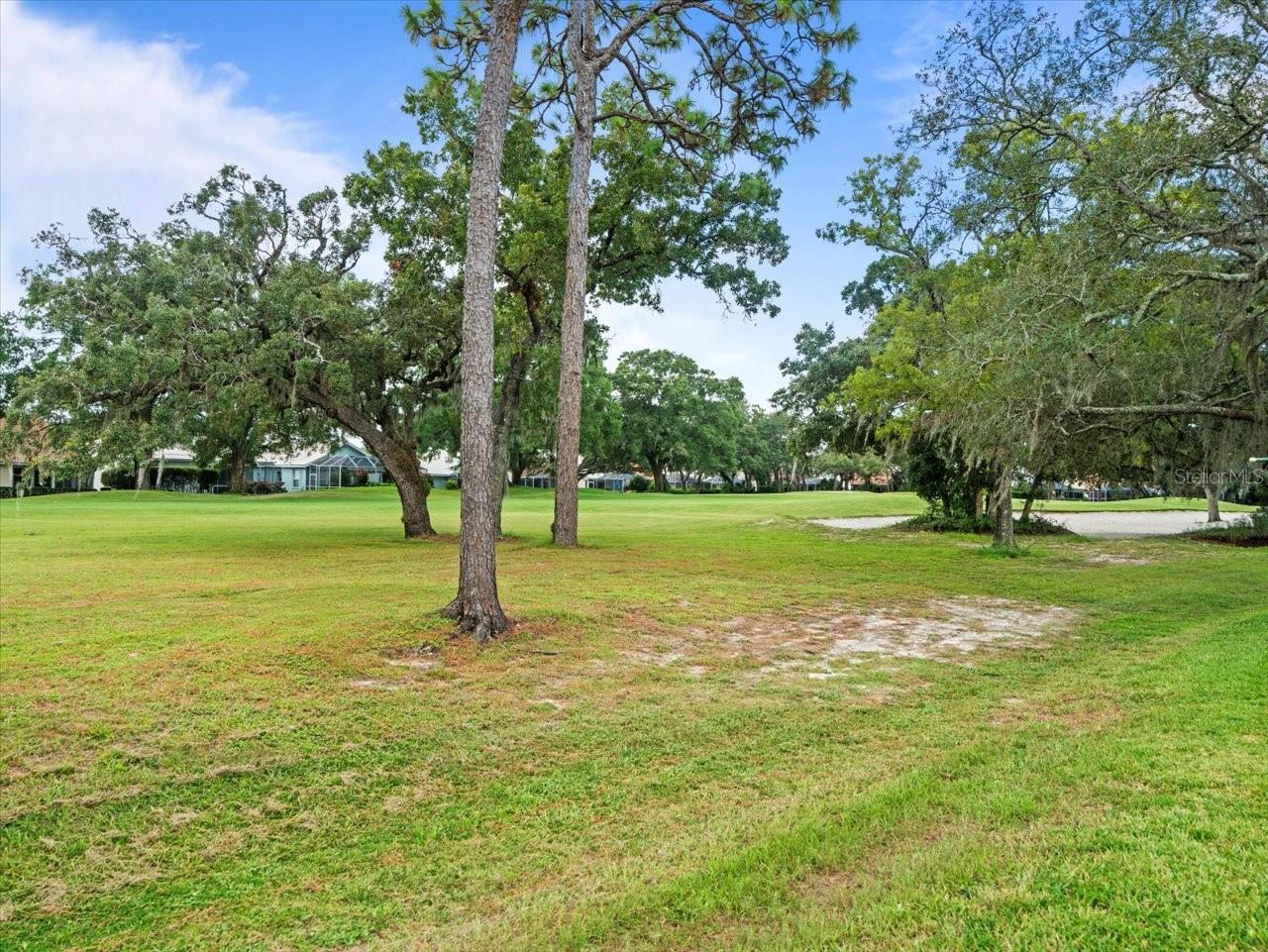 Listing photo id 46 for 9694 Southern Belle Drive