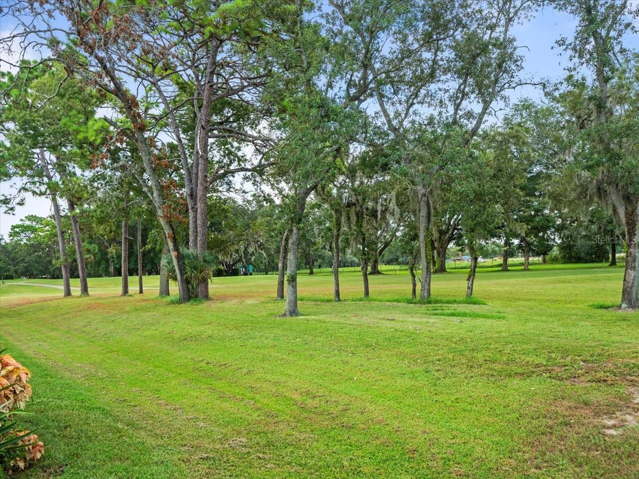 Listing photo id 47 for 9694 Southern Belle Drive