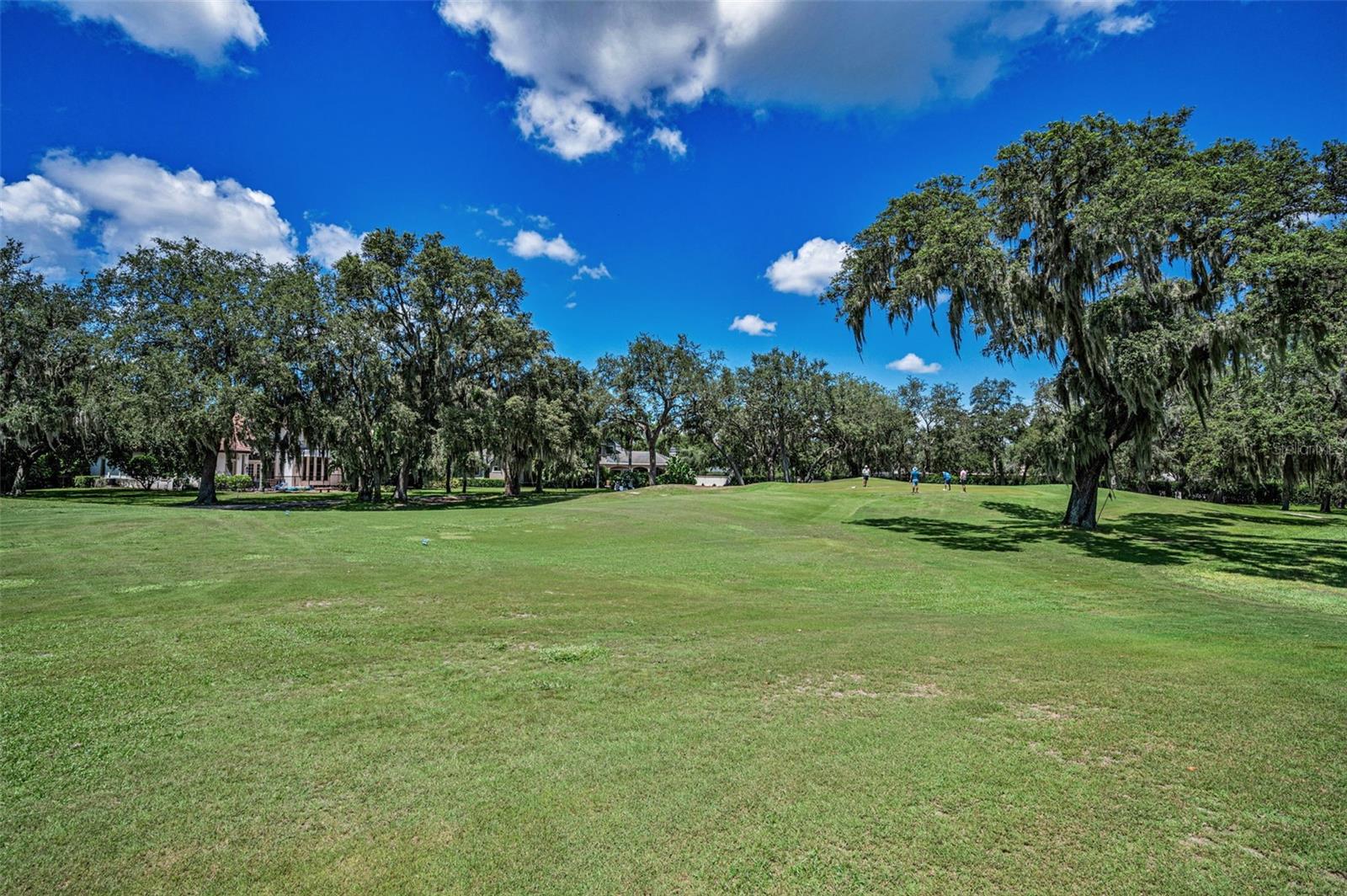 Image 73 of 100 For 1227 Toscano Drive