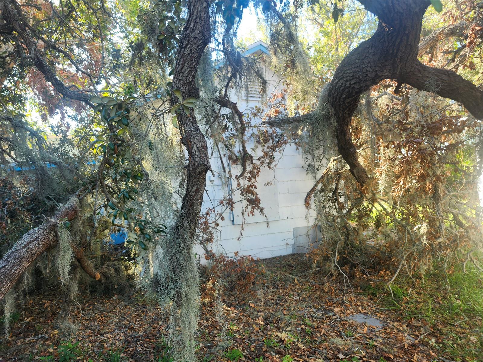 Image 16 of 28 For 4810 13th Avenue S