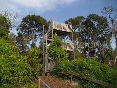 Listing photo id 68 for 2640 Wood Pointe Drive