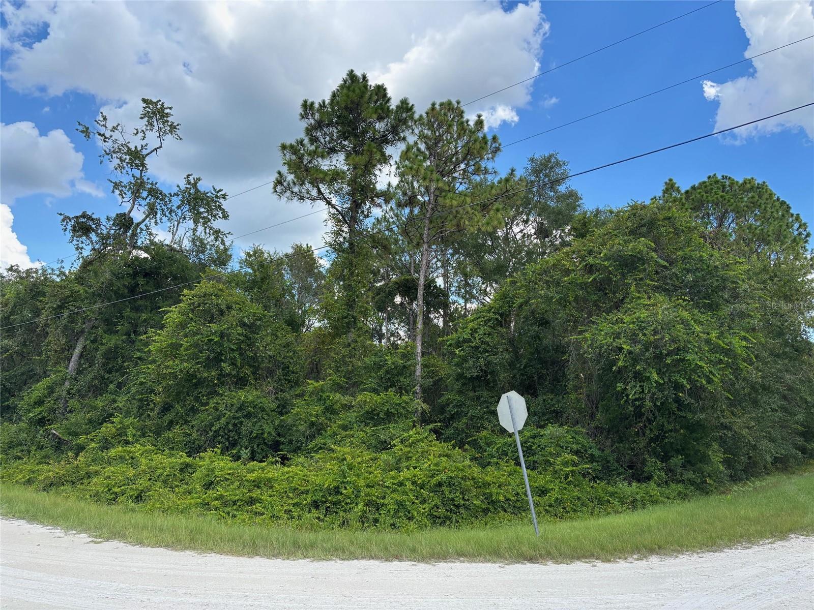 Details for Lot 1 Canvasback Road, BROOKSVILLE, FL 34614