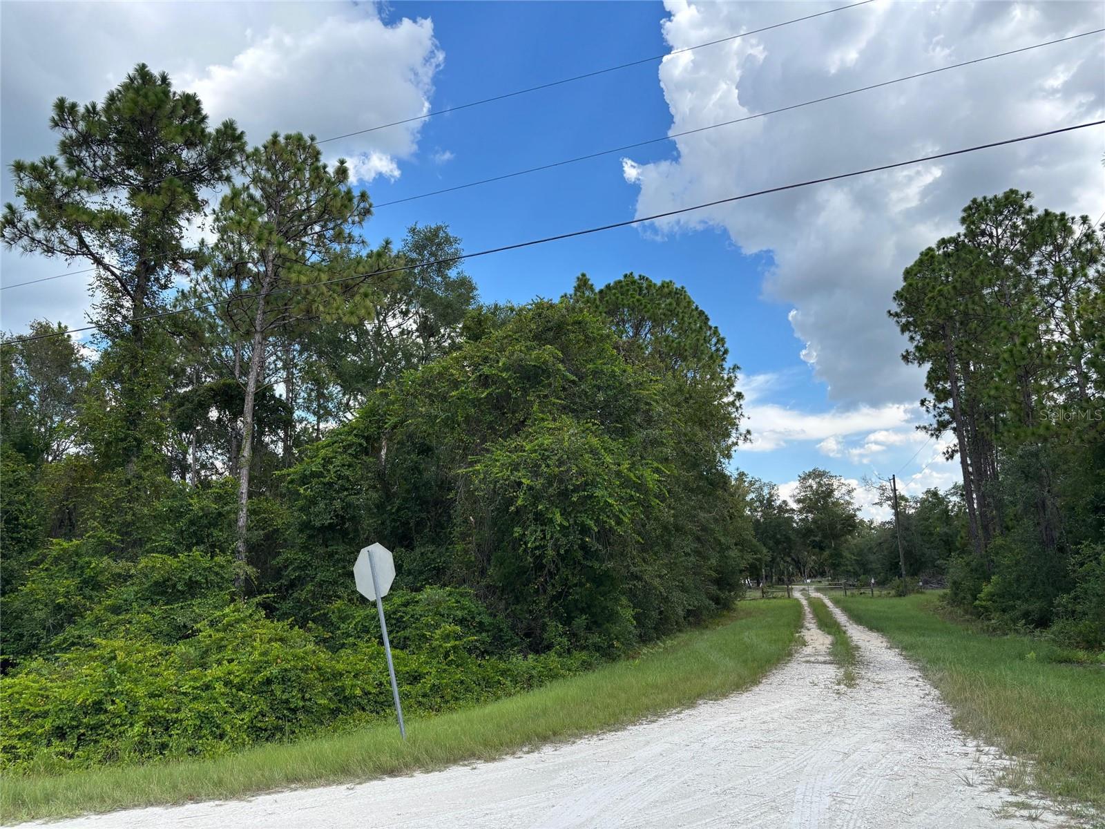 Image 6 of 9 For Lot 1 Canvasback Road