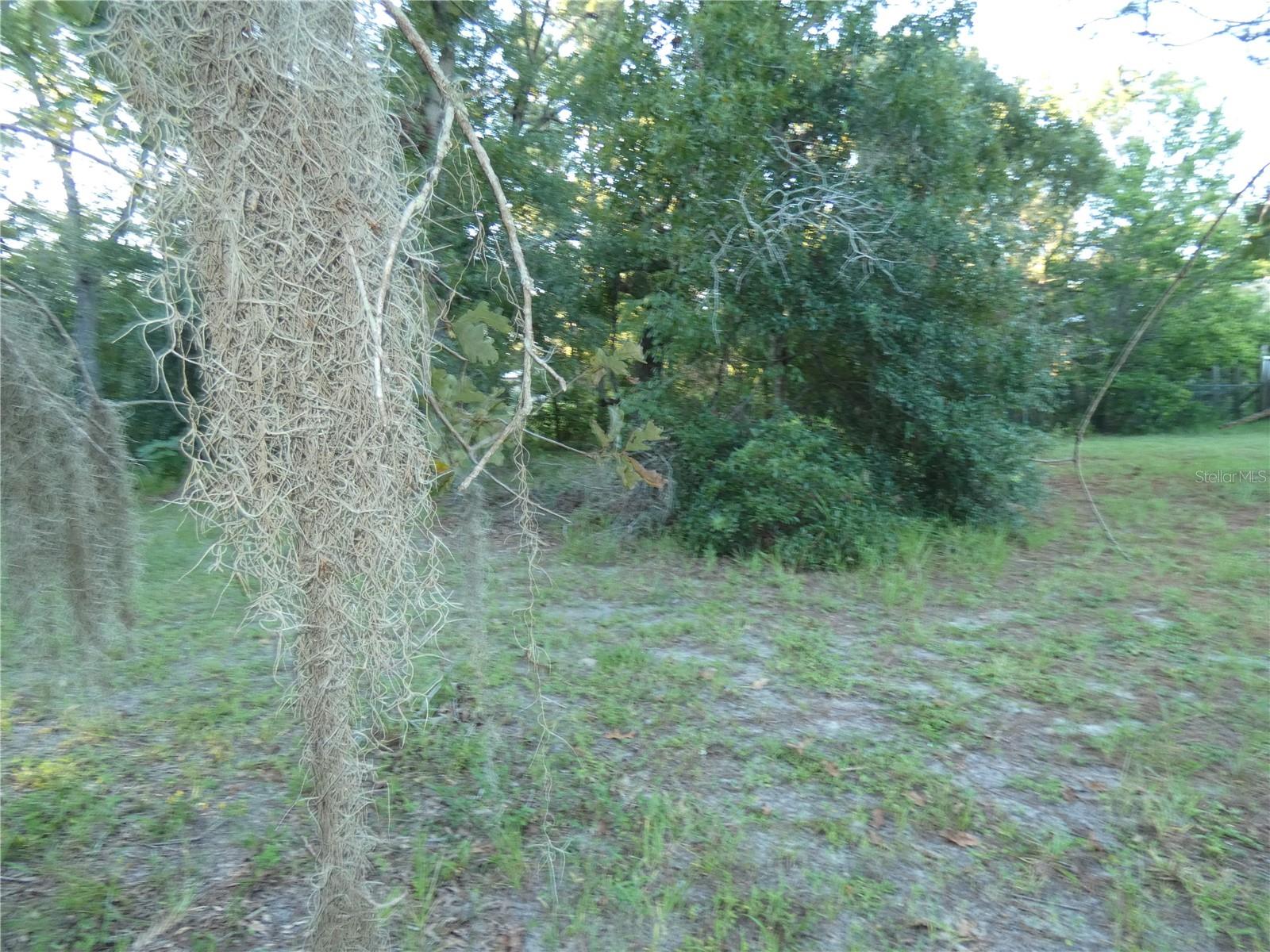 Image 10 of 46 For 9633 Ray Street