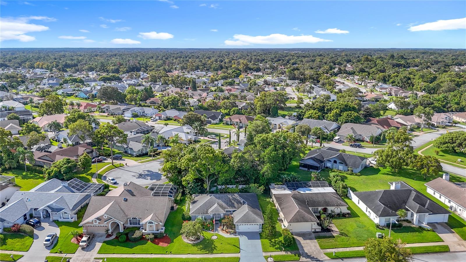 Listing photo id 73 for 8716 Helmsly Lane