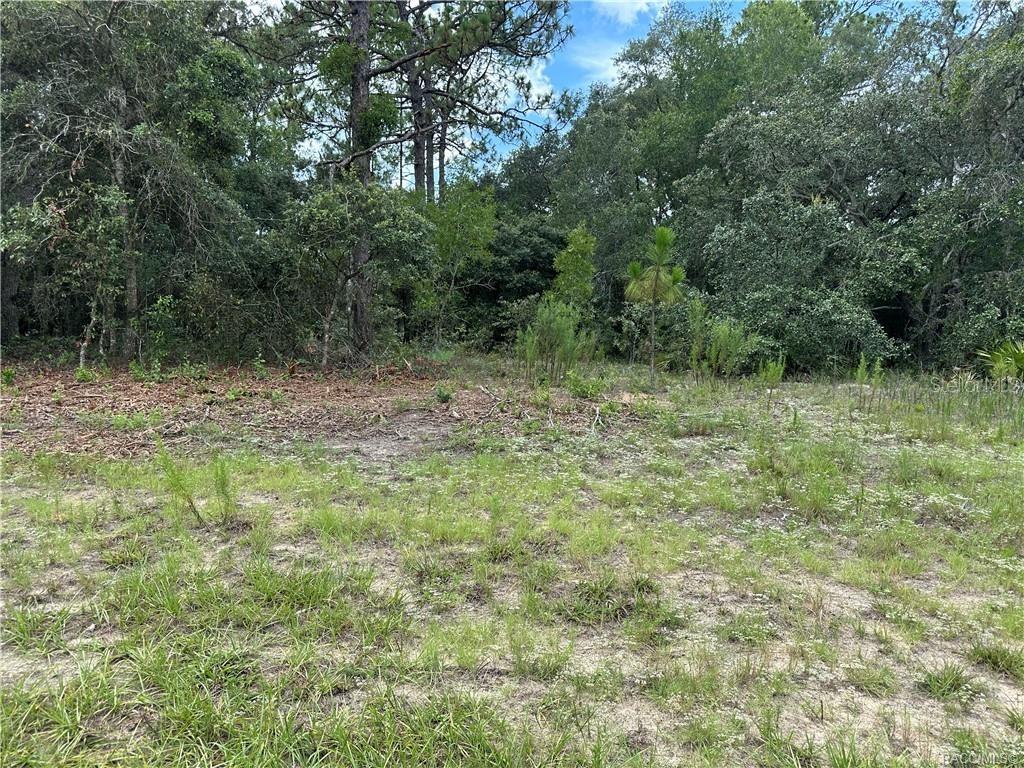 Details for 1282 Hampshire Boulevard, CITRUS SPRINGS, FL 34434