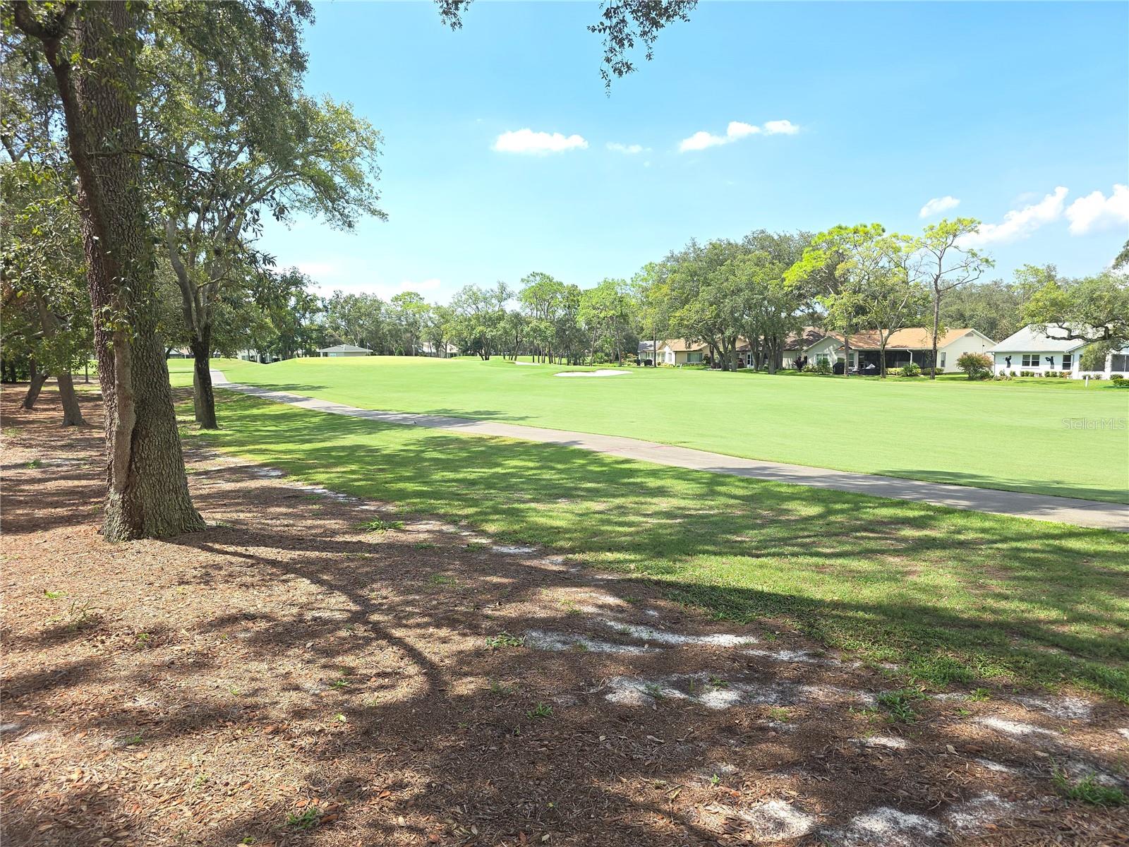 Image 29 of 29 For 7009 Rolling Green Drive