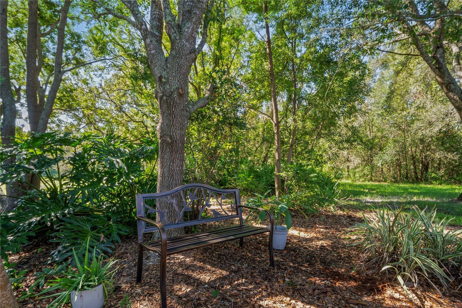 Image 38 of 76 For 11242 Heathrow Avenue