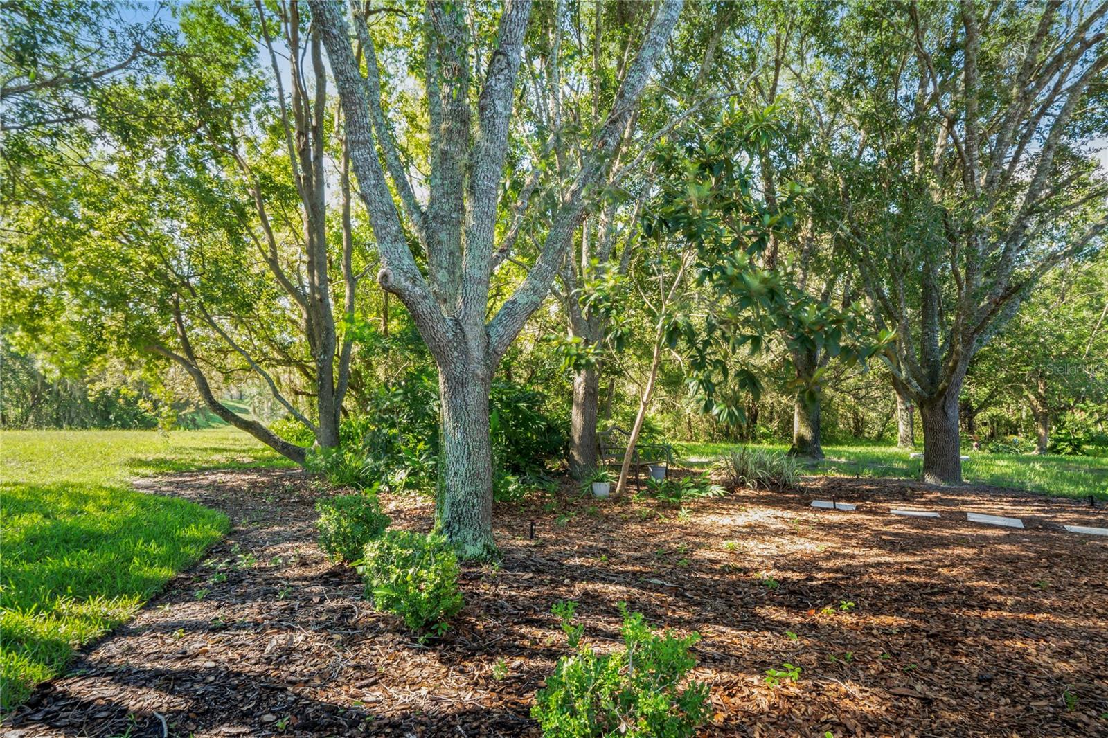 Image 39 of 76 For 11242 Heathrow Avenue