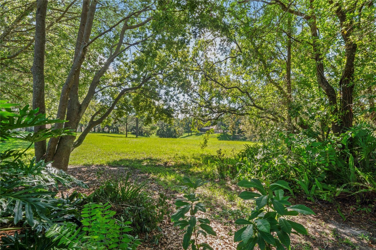 Image 40 of 76 For 11242 Heathrow Avenue