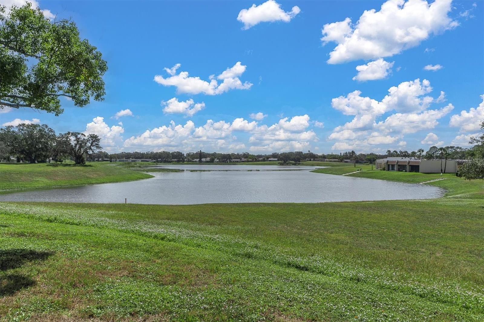 Image 30 of 38 For 11311 Dollar Lake Drive 6