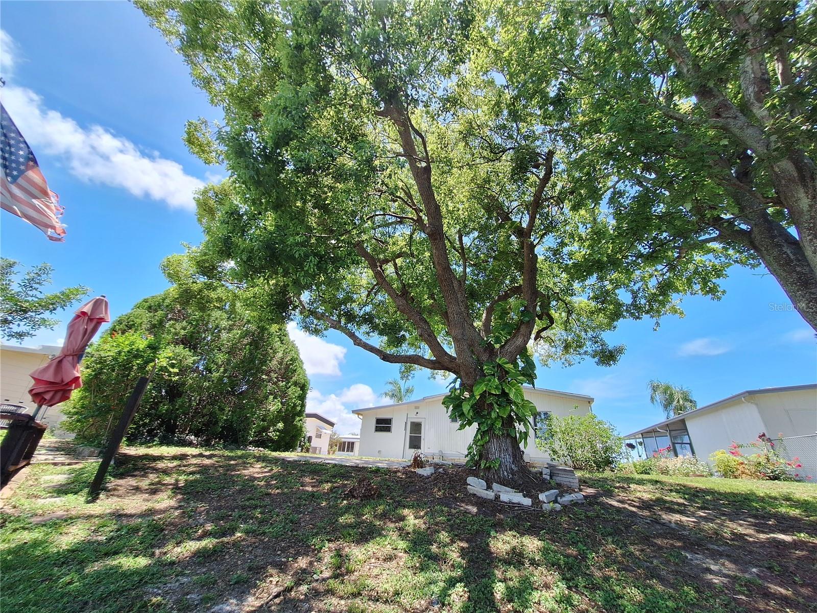 Image 10 of 77 For 7309 Blue Lake Drive