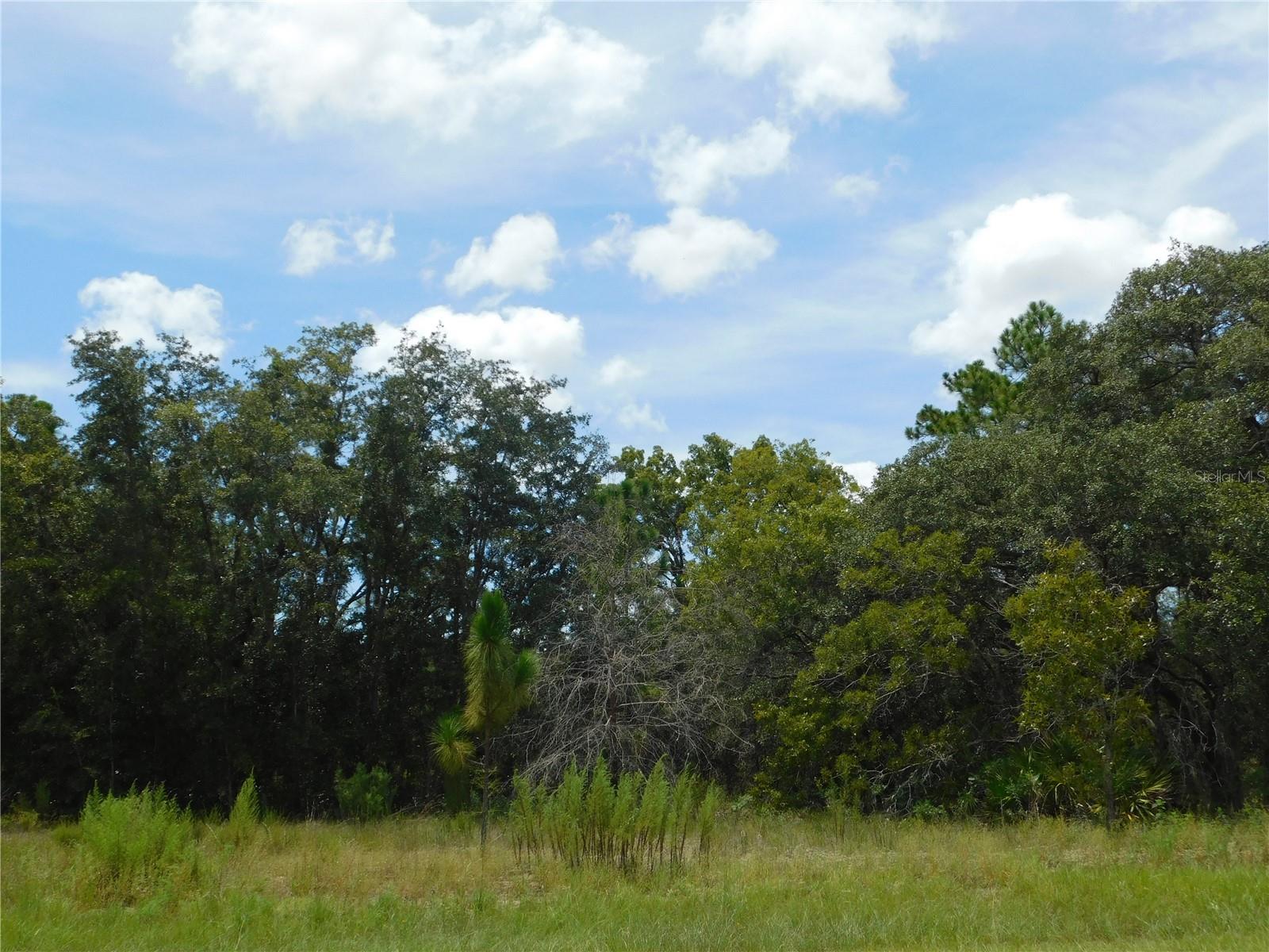 Details for 6681 Bedstrow Boulevard, DUNNELLON, FL 34434
