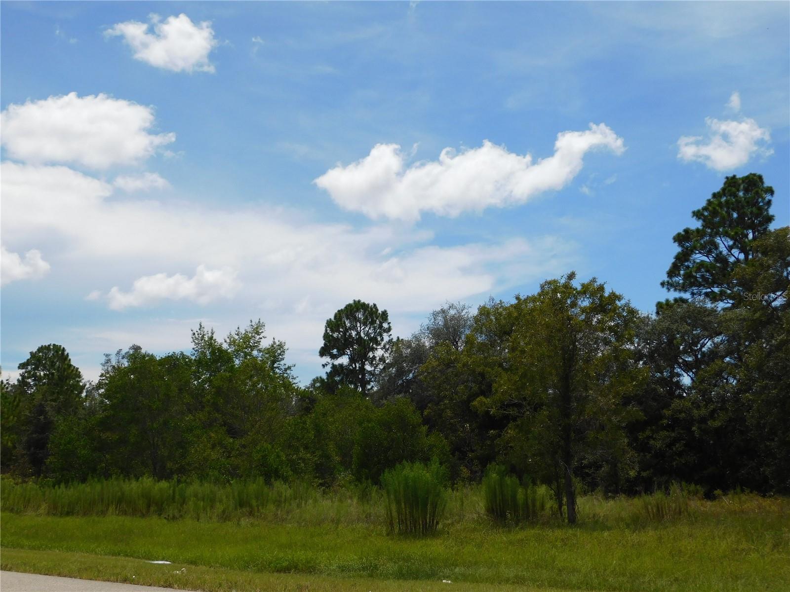 Listing photo id 2 for 6681 Bedstrow Boulevard