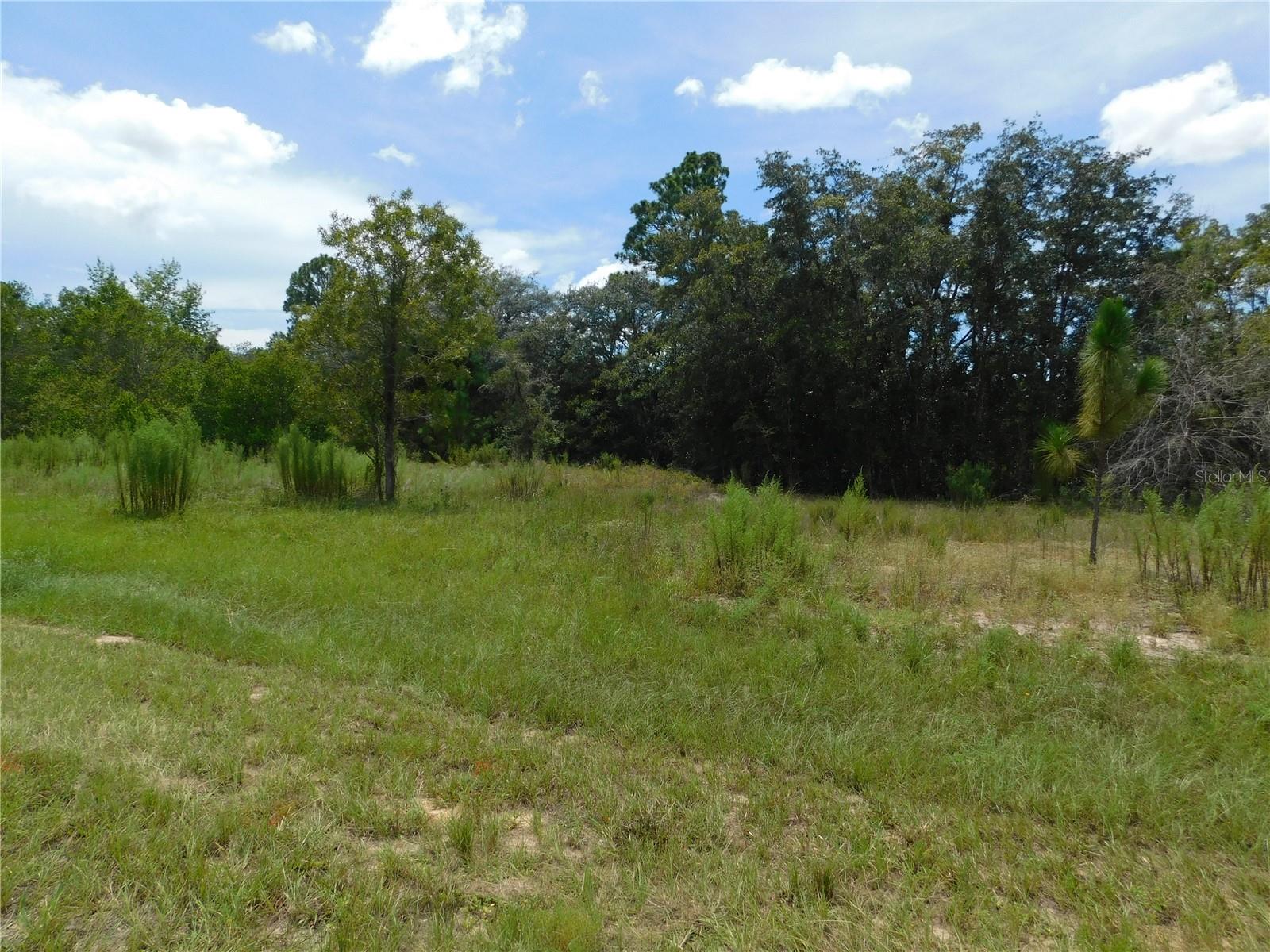 Listing photo id 3 for 6681 Bedstrow Boulevard