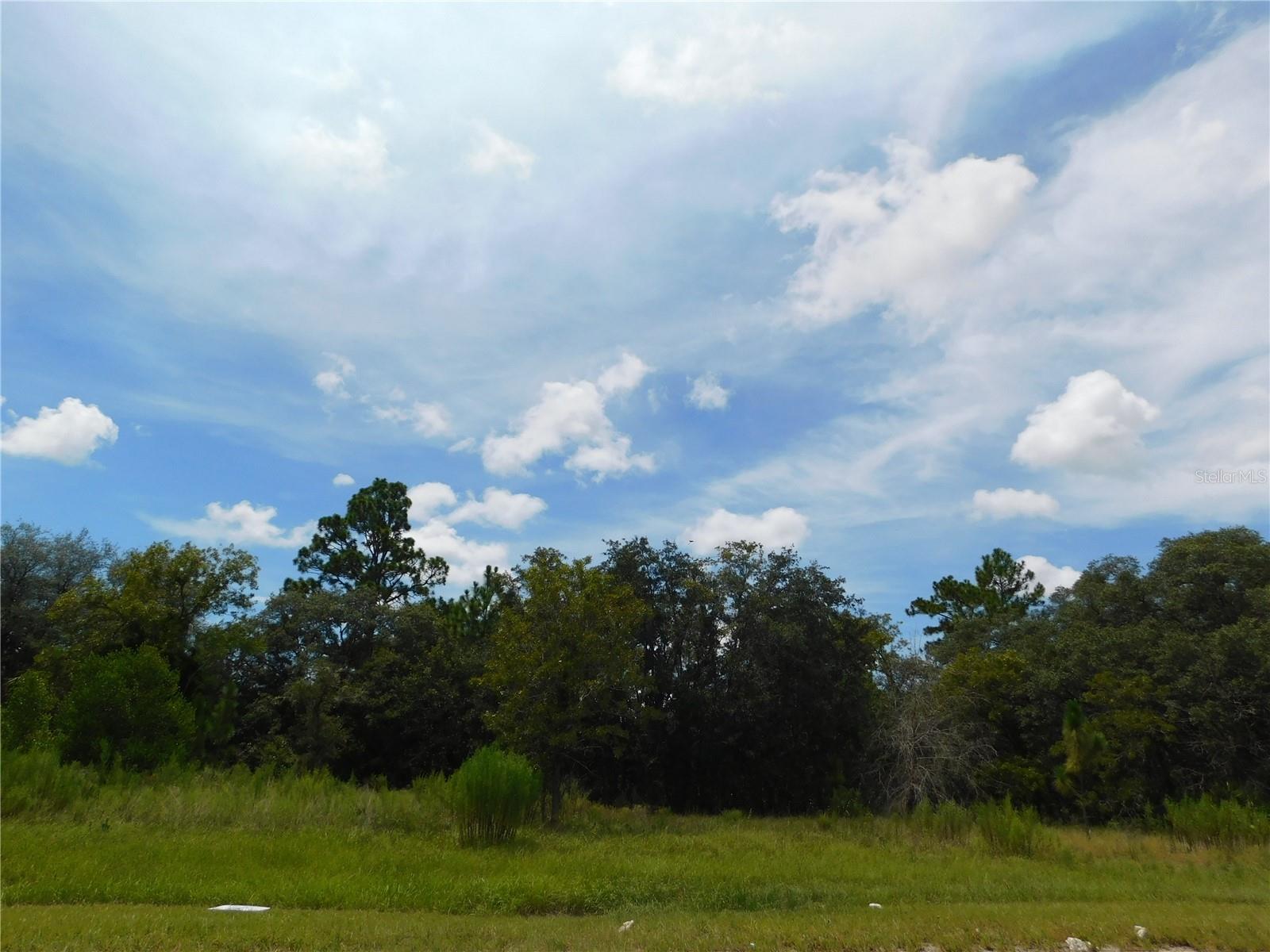 Details for 6683 Bedstrow Boulevard, DUNNELLON, FL 34434