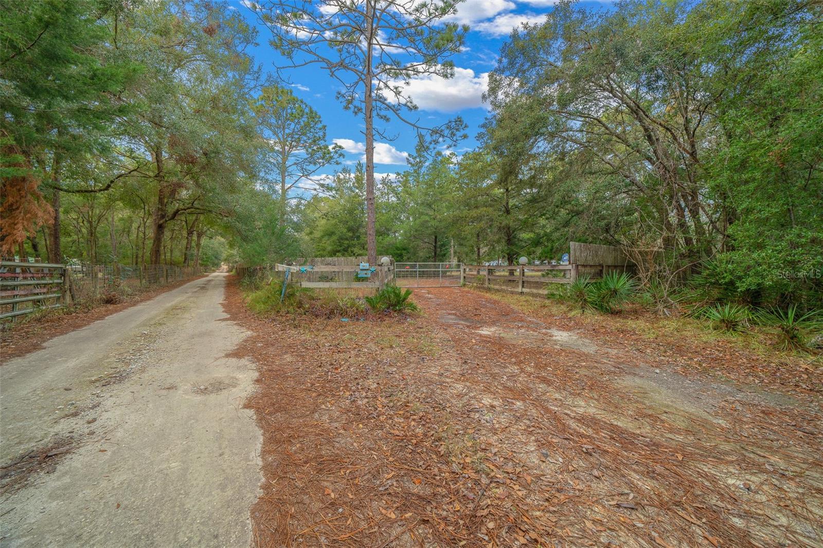 Image 55 of 74 For 27281 Tarbel Road