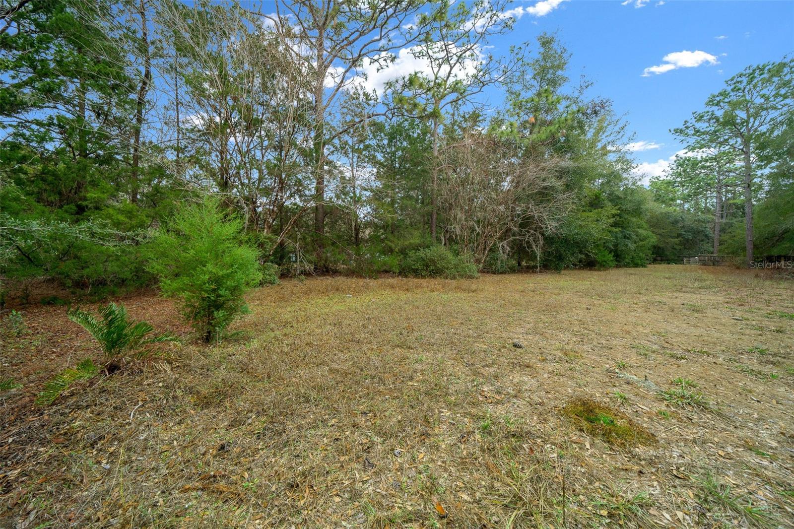 Image 60 of 74 For 27281 Tarbel Road