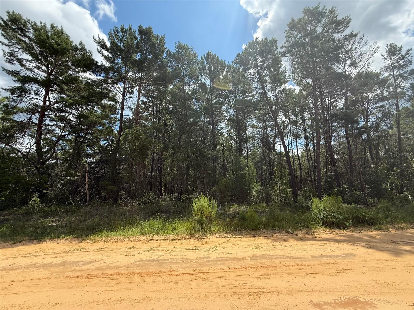 Details for David Avenue, INTERLACHEN, FL 32148