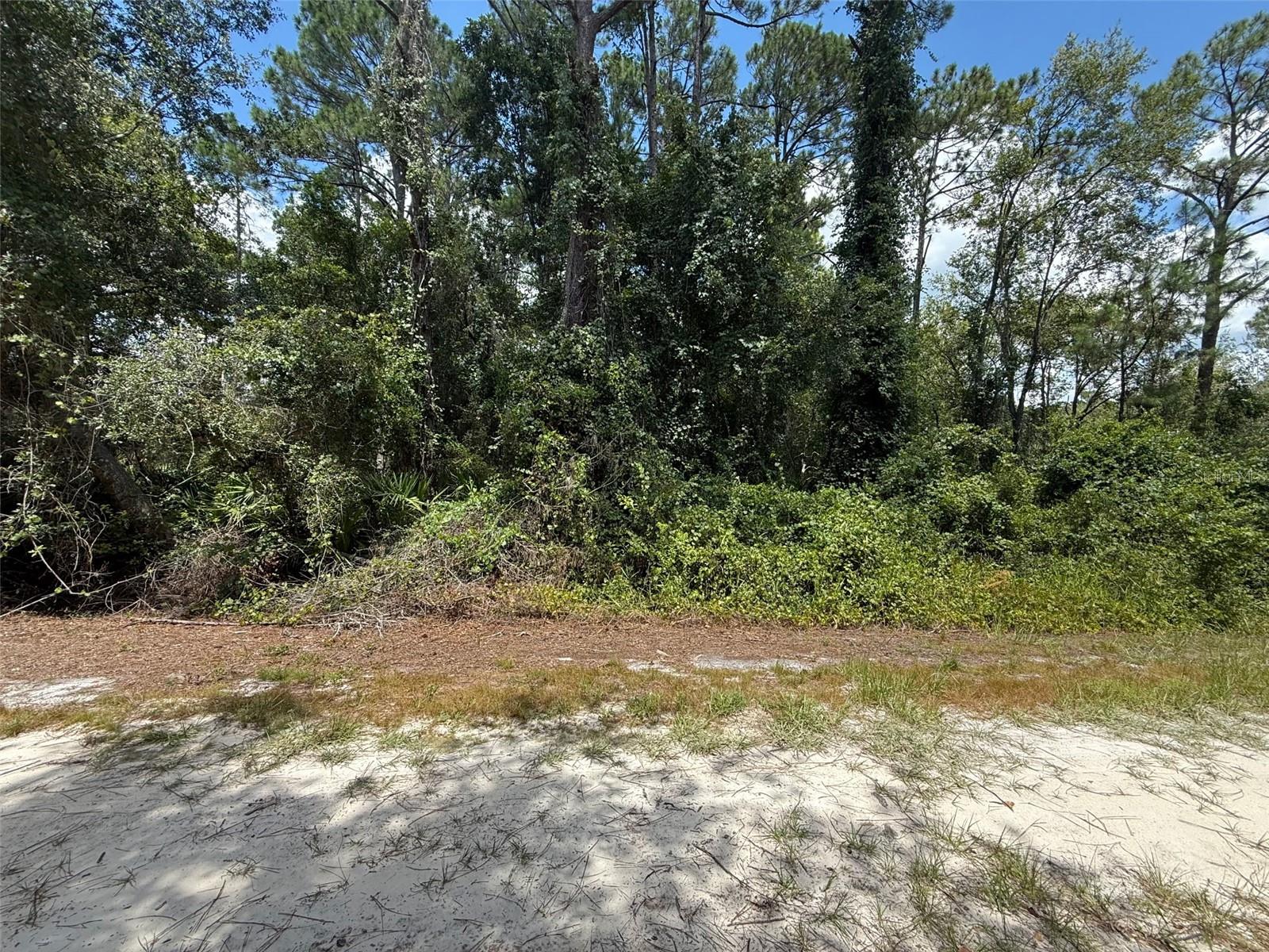 Details for 322 Palm Way, GEORGETOWN, FL 32139