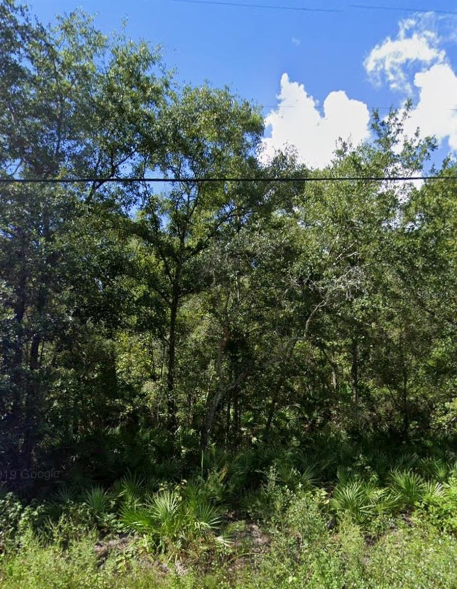 Details for Gowan Street, NEW PORT RICHEY, FL 34654