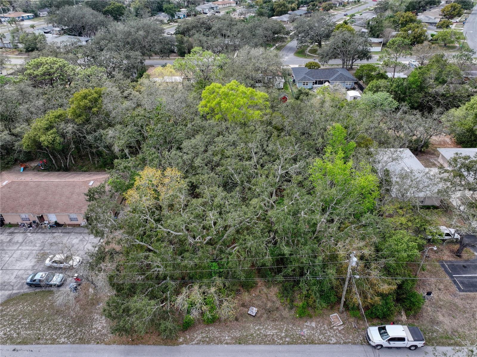 Image 10 of 12 For 0 Slyvia Avenue