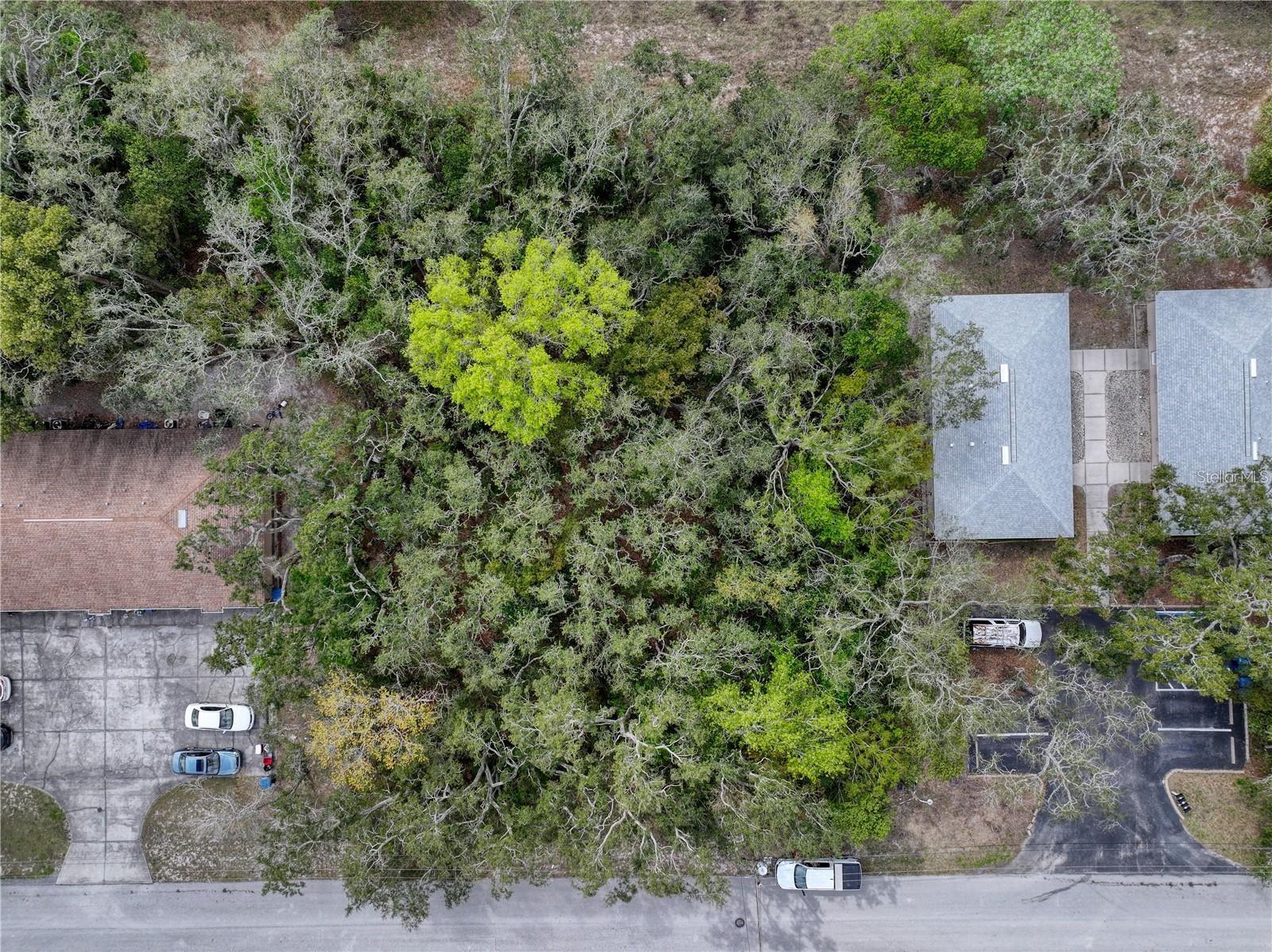 Image 8 of 12 For 0 Slyvia Avenue