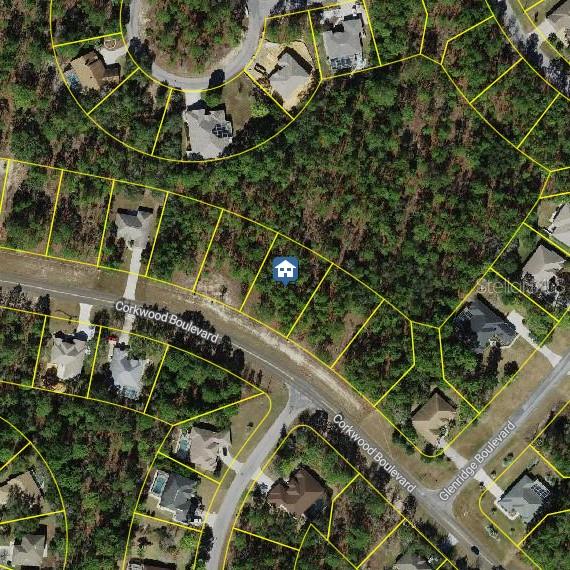 Details for 62 Corkwood Boulevard, HOMOSASSA, FL 34446