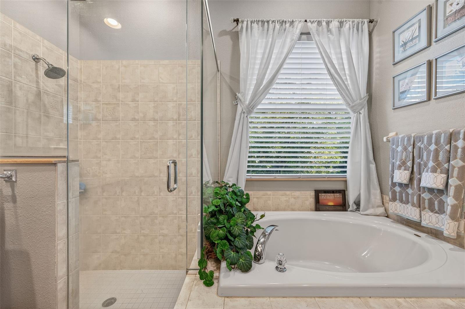 Image 34 of 69 For 2309 Mountain Ash Way