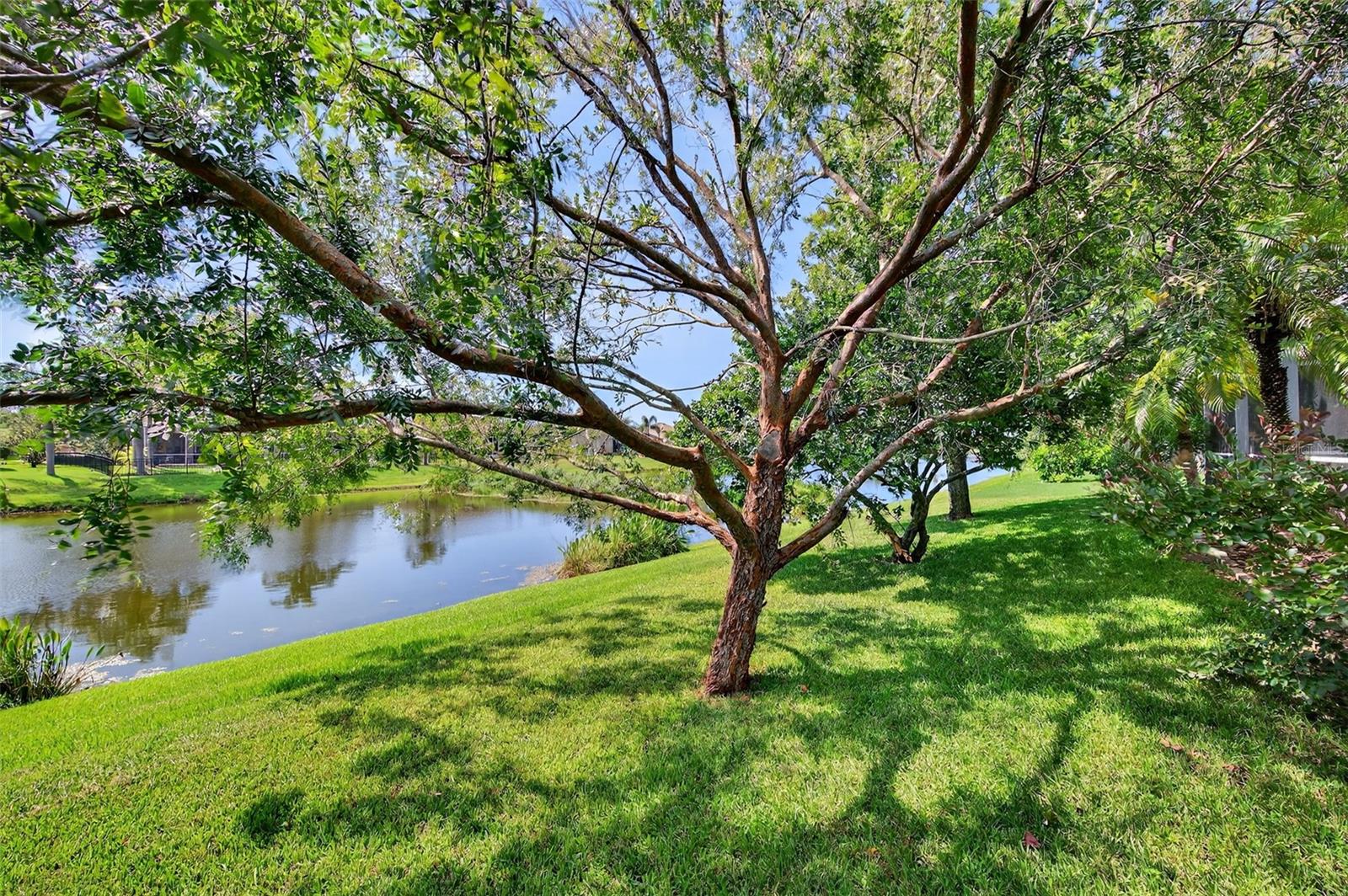 Image 56 of 69 For 2309 Mountain Ash Way