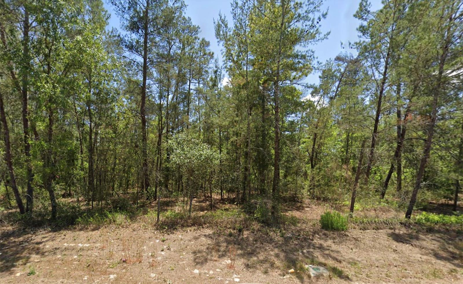 Details for 6230 Oak Park Boulevard, HOMOSASSA, FL 34446