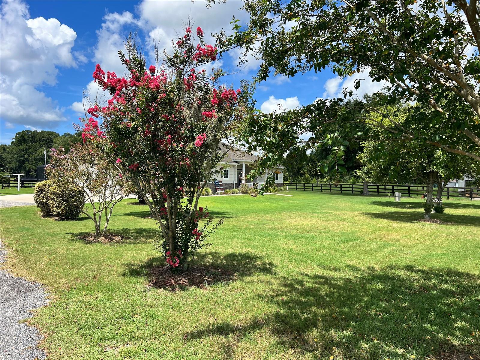 Image 6 of 65 For 7751 85th Lane
