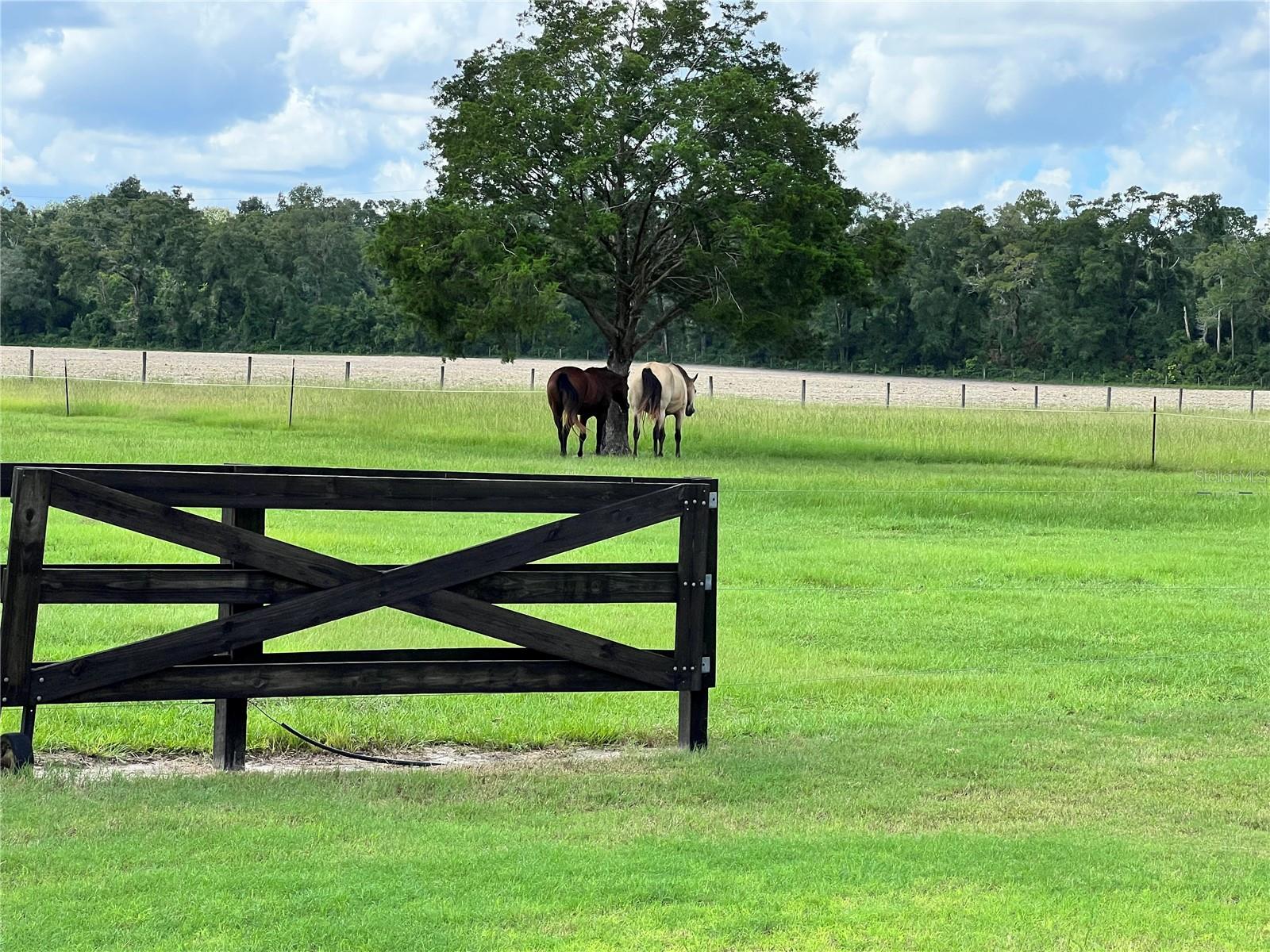Image 64 of 65 For 7751 85th Lane