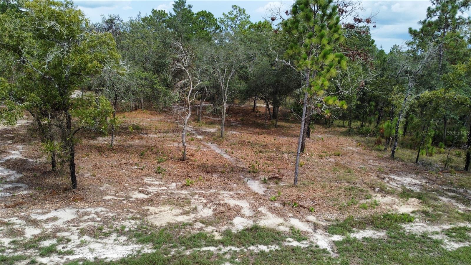 Image 6 of 9 For 12098 Lark Sparrow Road