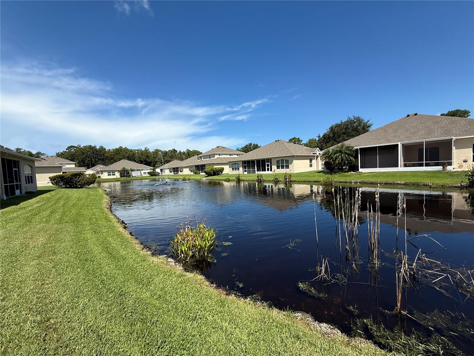 Listing photo id 25 for 7451 Wimpole Drive