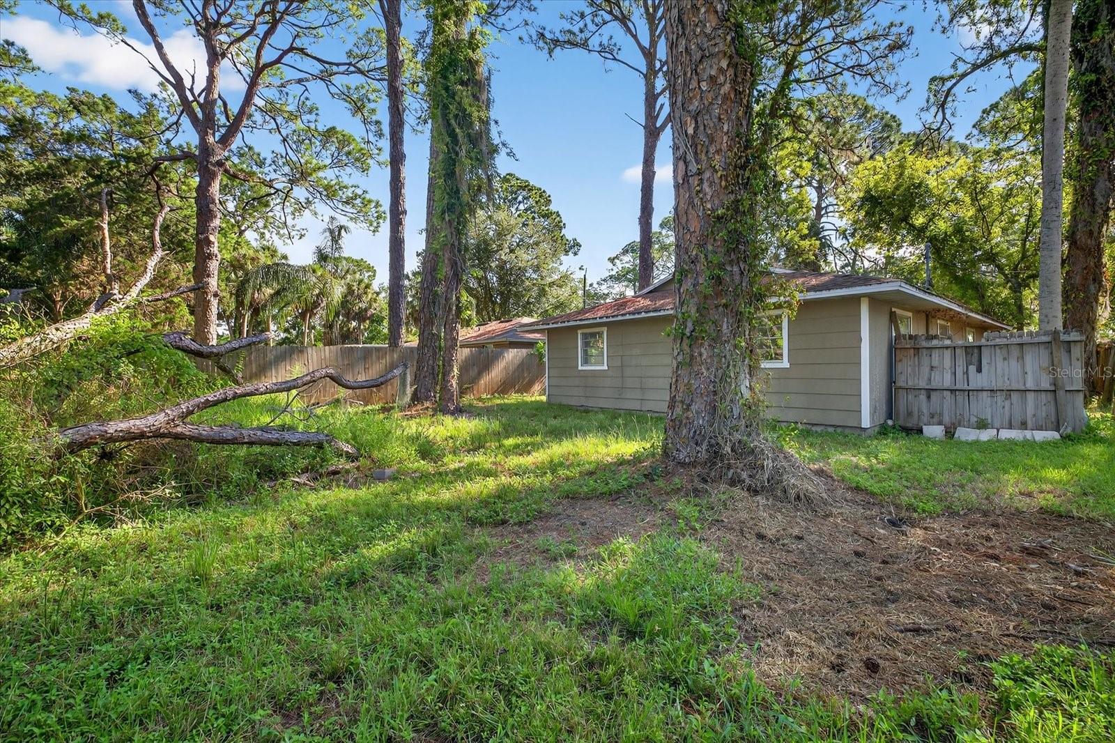 Image 6 of 20 For 7139 Pinewood Drive