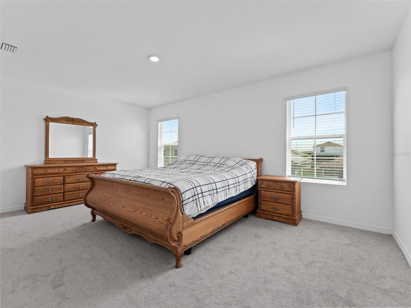 Image 13 of 40 For 17037 Blister Wing Drive