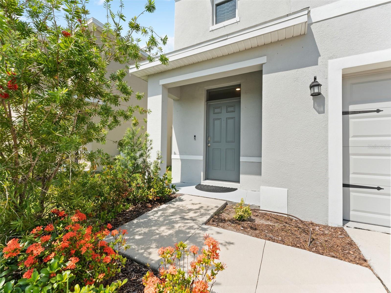 Image 3 of 40 For 17037 Blister Wing Drive