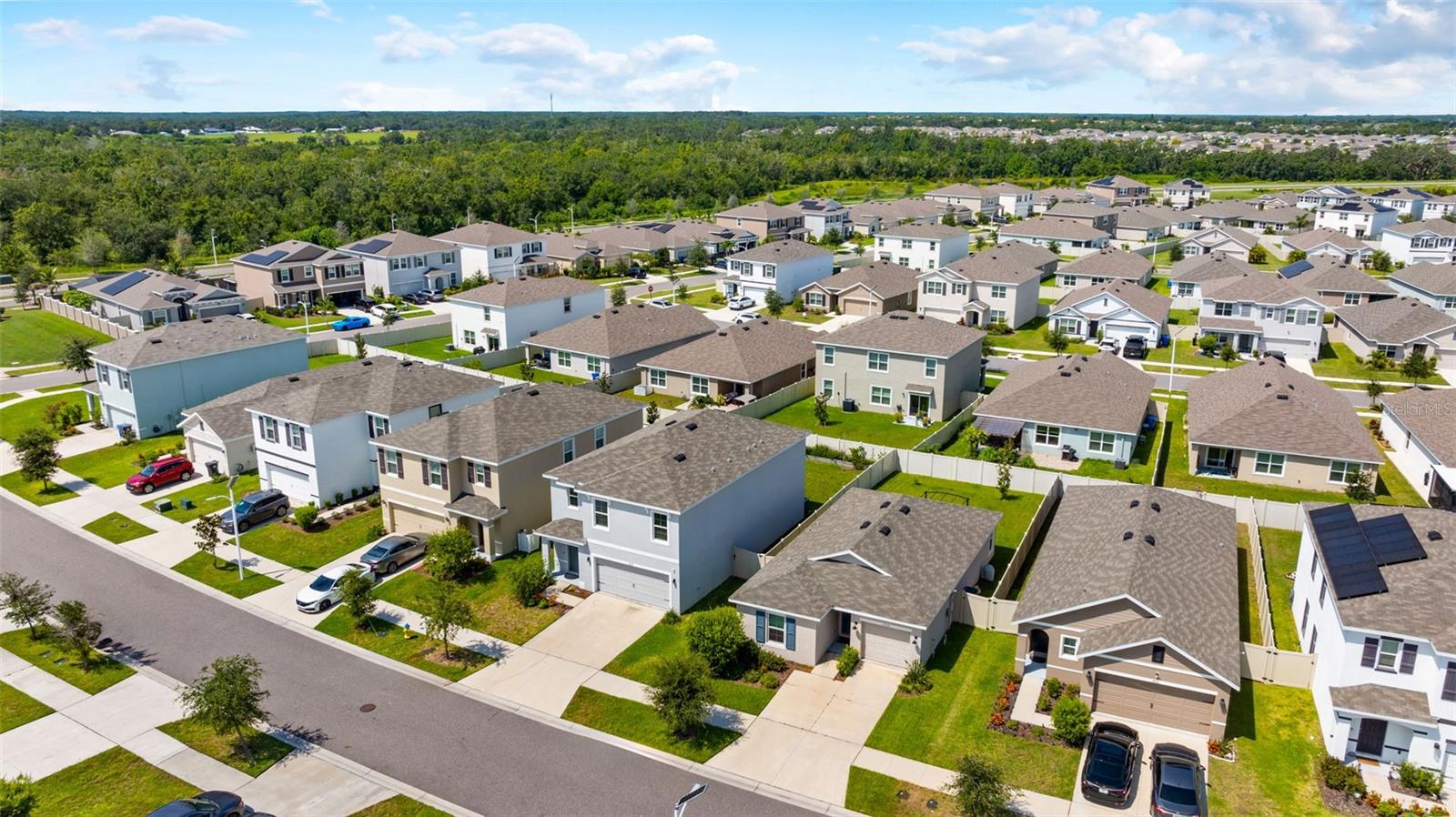 Image 35 of 40 For 17037 Blister Wing Drive