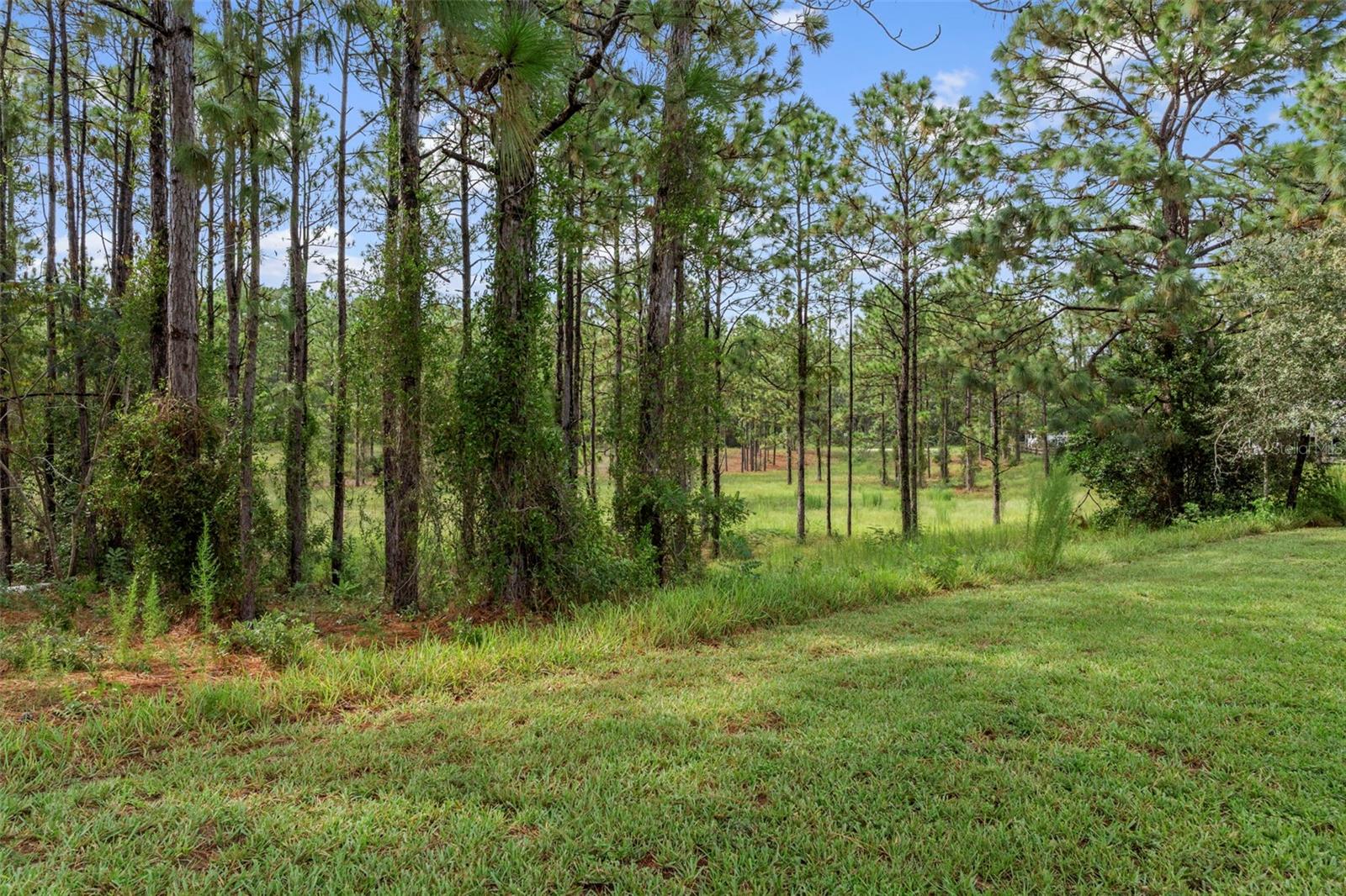 Listing photo id 52 for 5352 Mock Orange Drive