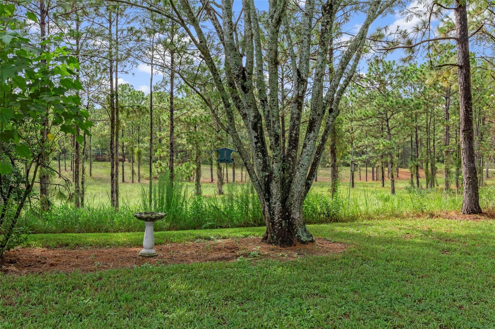 Listing photo id 53 for 5352 Mock Orange Drive