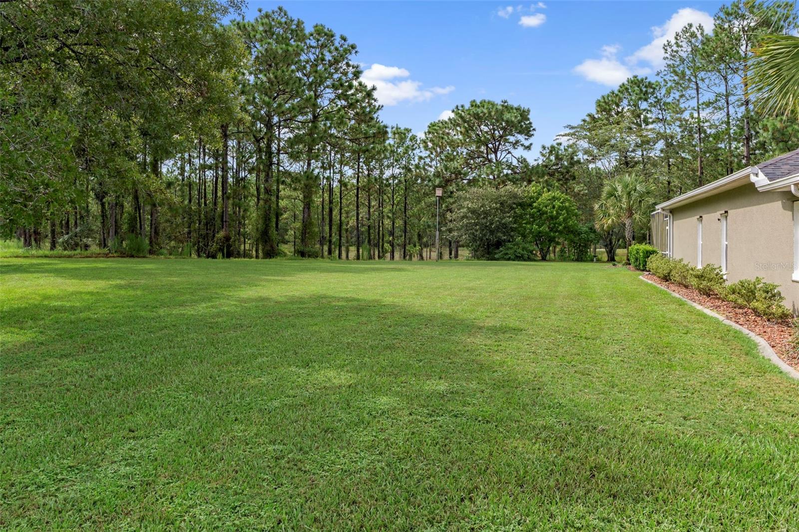 Listing photo id 54 for 5352 Mock Orange Drive