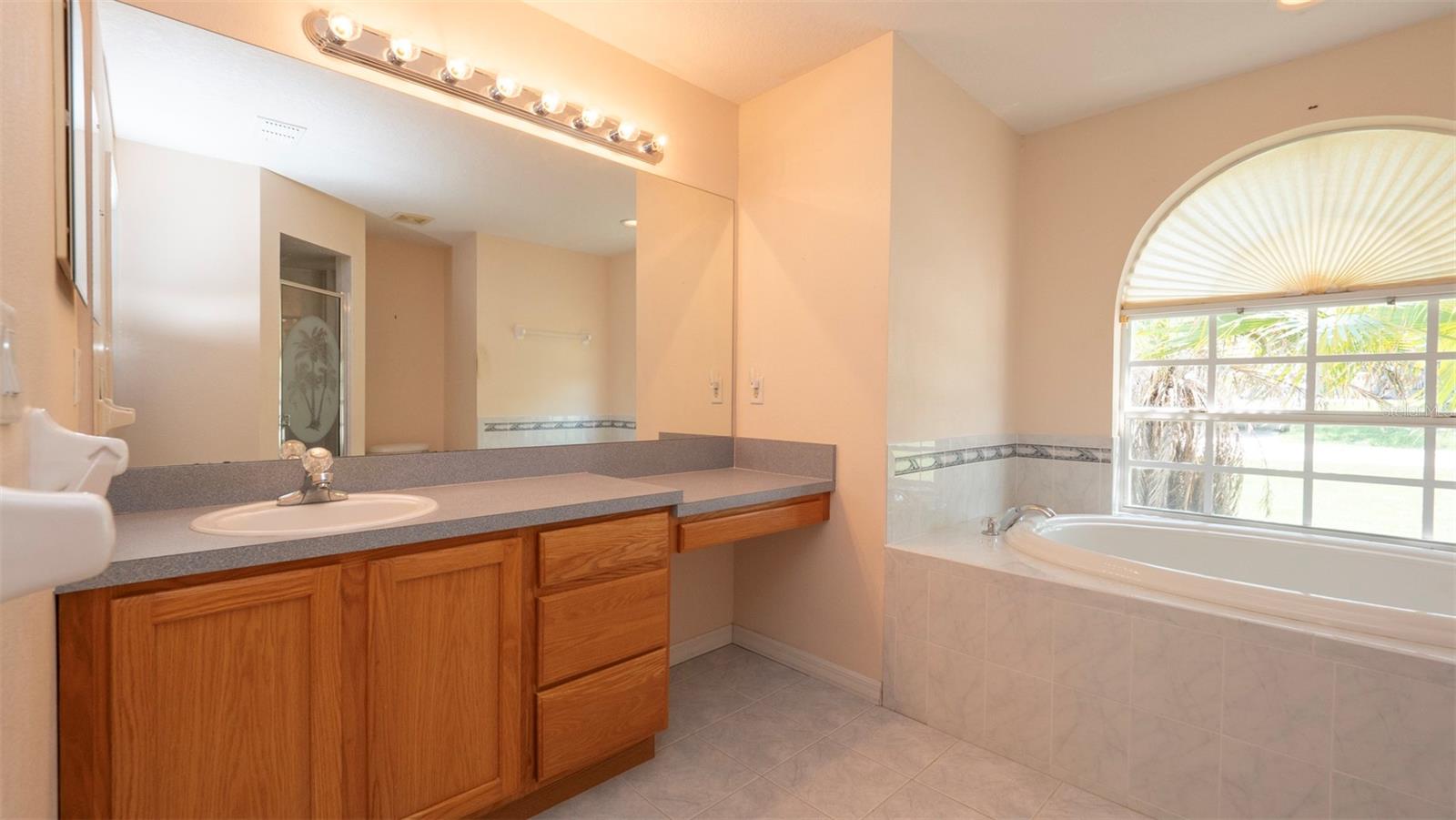 Listing photo id 18 for 10295 Dotted Wren Avenue