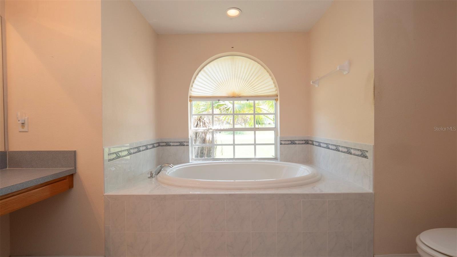 Listing photo id 19 for 10295 Dotted Wren Avenue