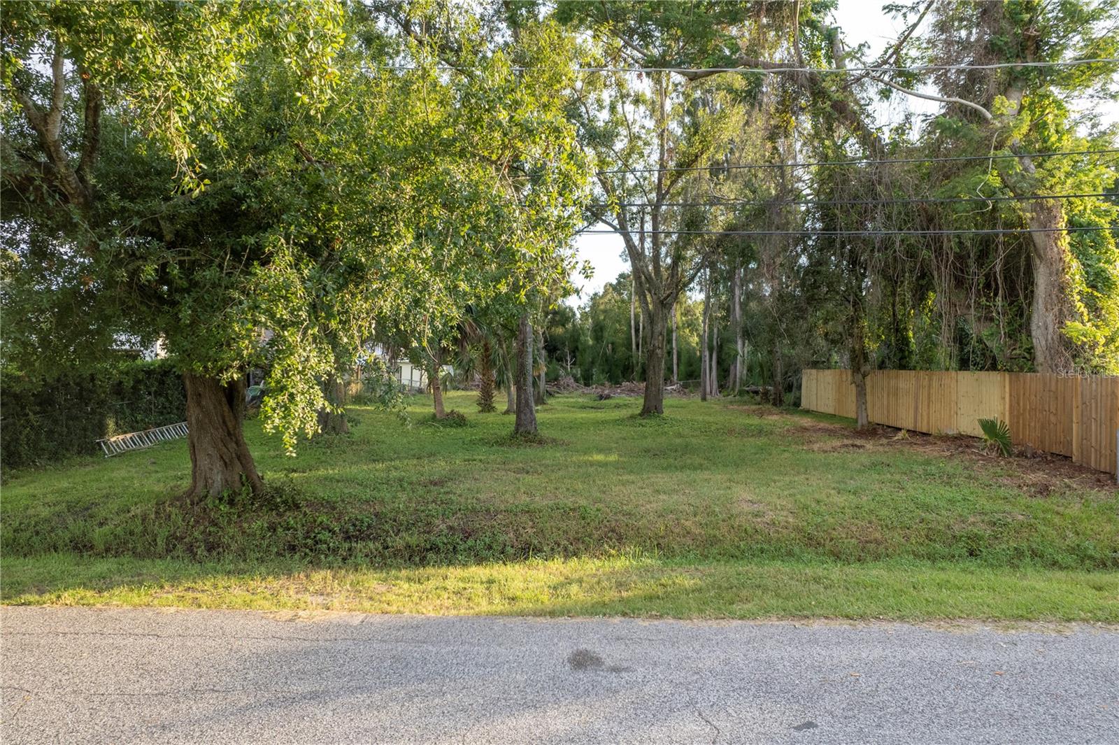 Image 5 of 10 For Oslin Street
