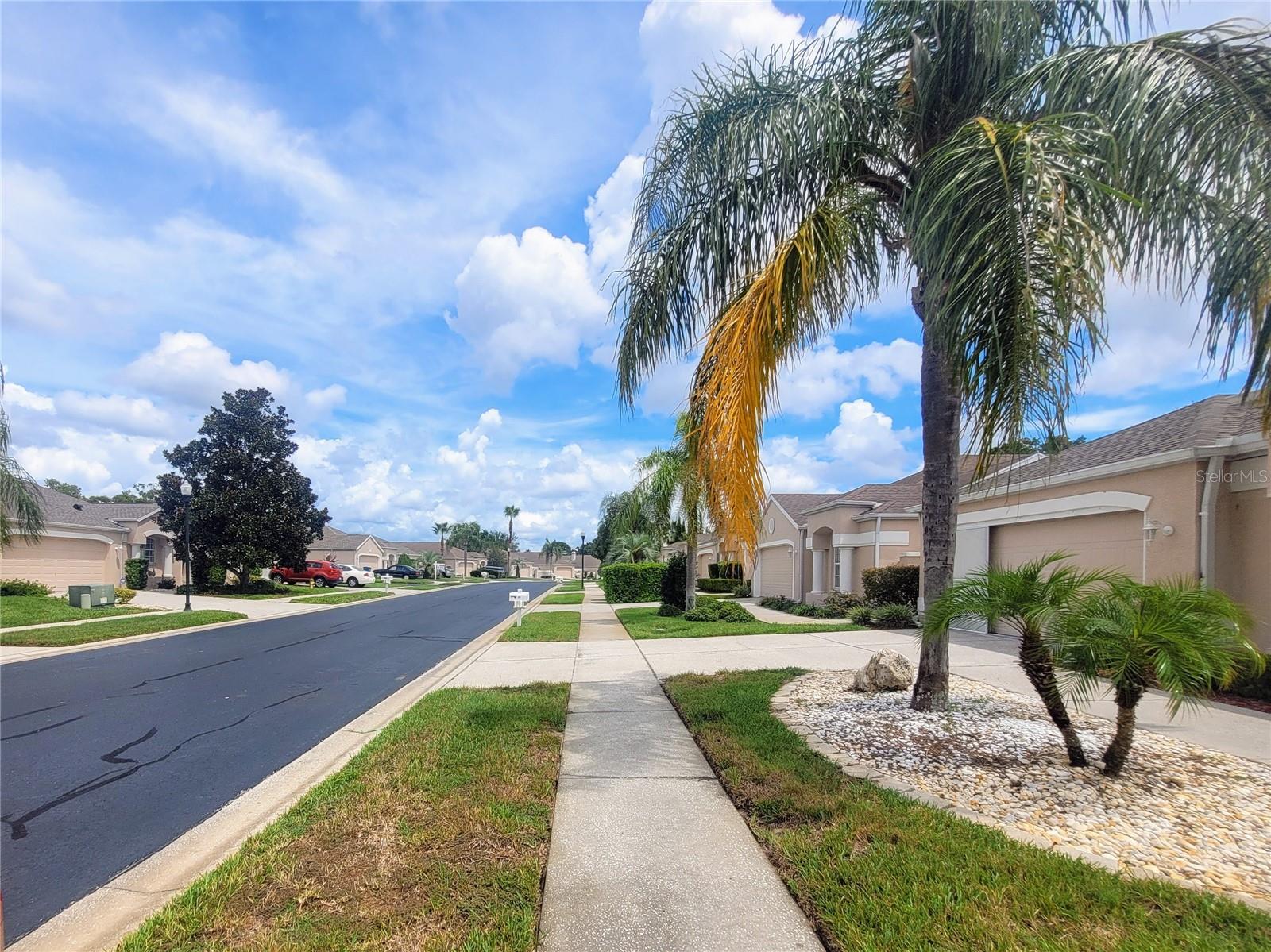 Image 37 of 39 For 376 Royal Palm Way